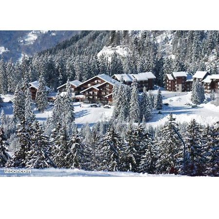 Studio Au Pied Des Pistes Avec Vue Sur La Montagne Mieussy エクステリア 写真