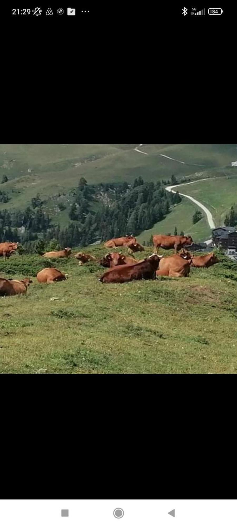 Studio Au Pied Des Pistes Avec Vue Sur La Montagne Mieussy エクステリア 写真